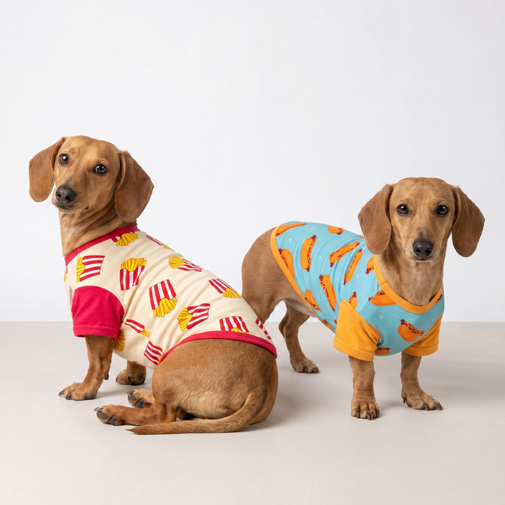 Two dachshunds wearing colorful dog shirts on a plain background