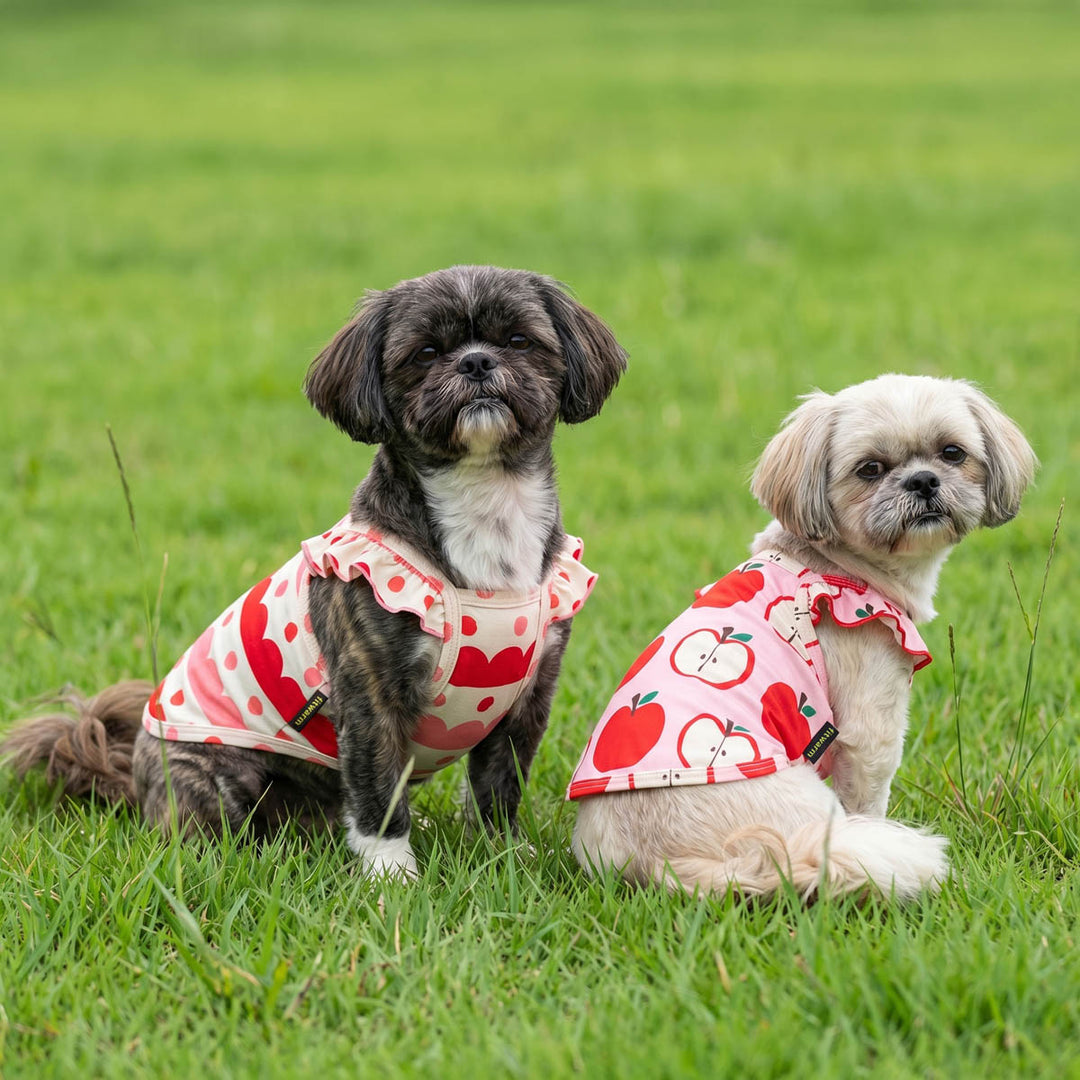 Small dogs wearing two ruffle dog tank top and sitting on the grass