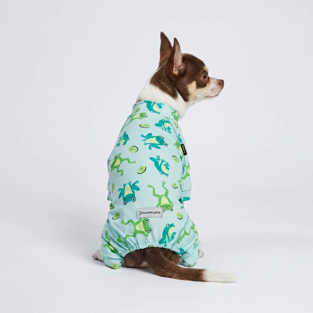 Back view of Chihuahua in a UPF 50+ dog uv jumpsuit