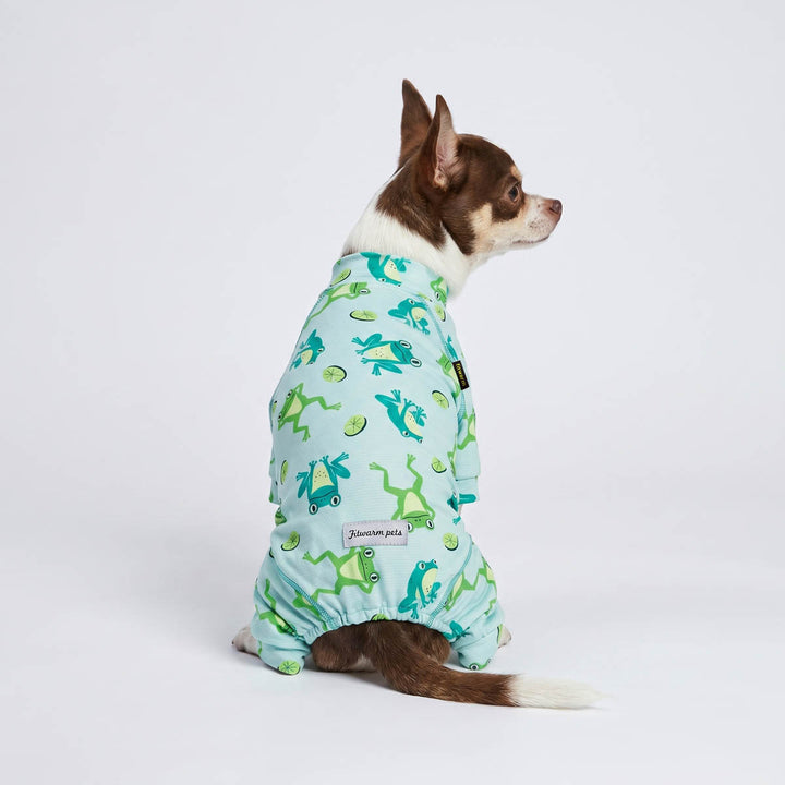 Back view of Chihuahua in a UPF 50+ dog uv jumpsuit