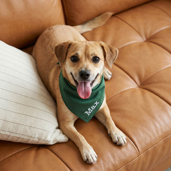 Custom Embroidered Dog Bandana