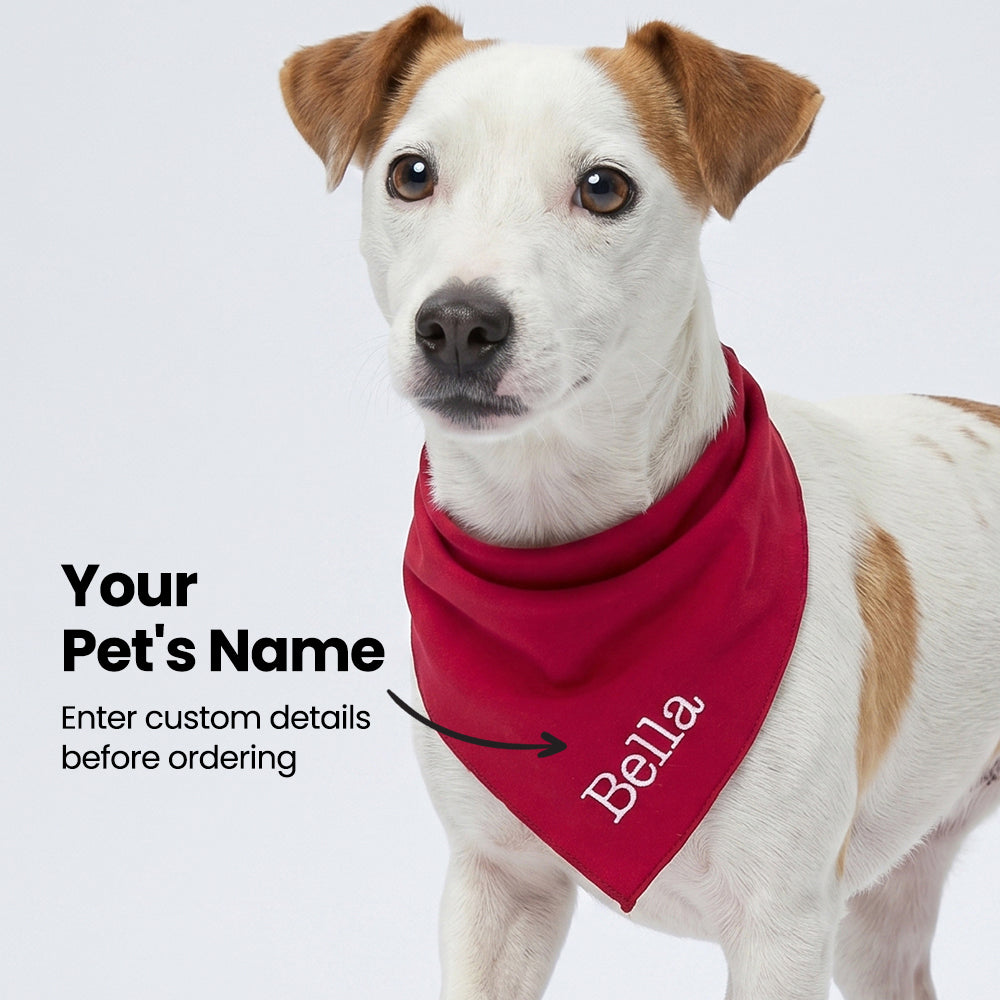 Dog wearing a red dog bandana with 'Bella' on a white background