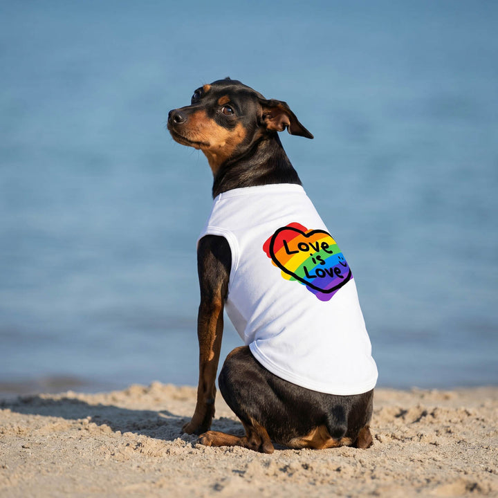 Small dog sitting on the beach with white shirt for dogs in rainbow prints and 'love is love' lettering