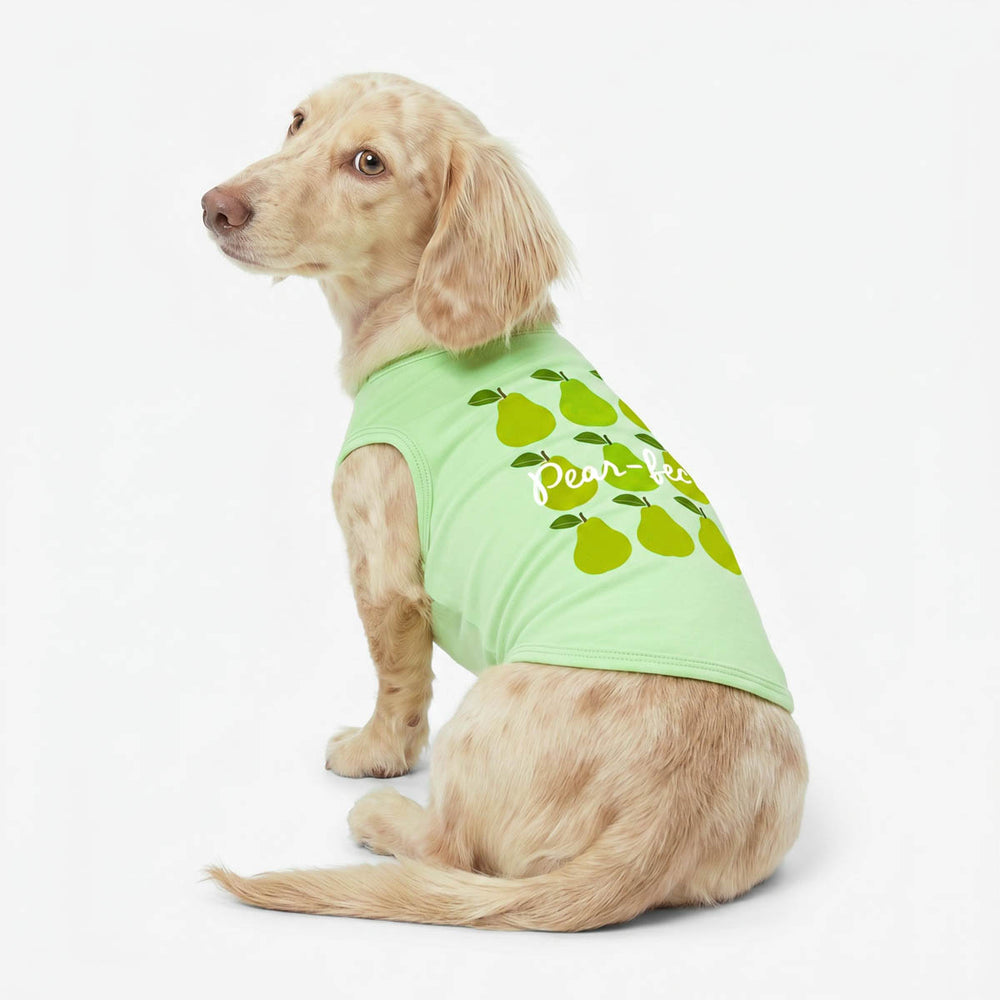Dachshund wearing a green dog tank top with pear and funny 'pear-fect' lettering