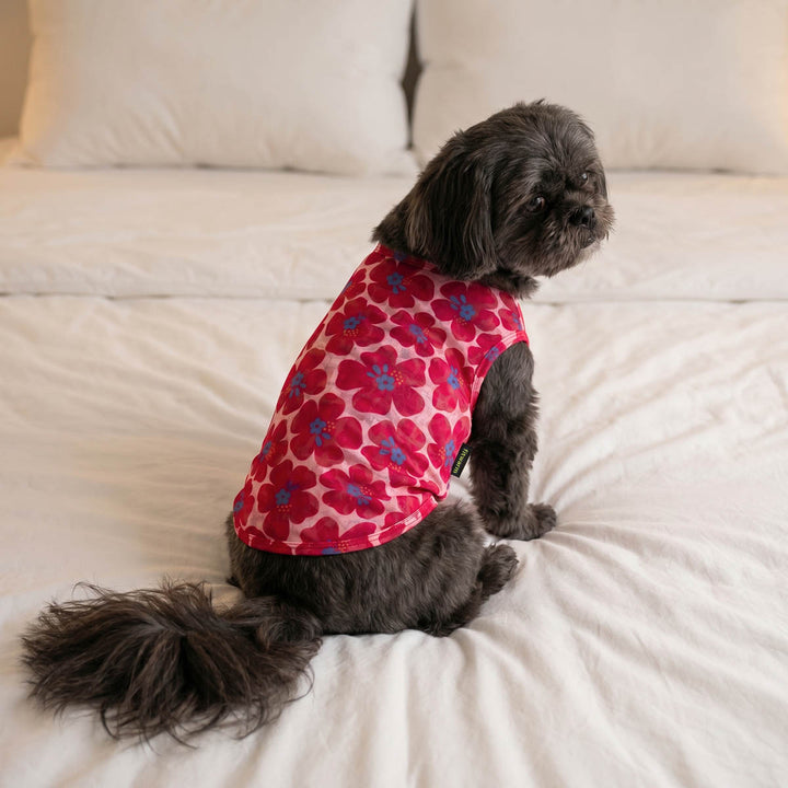 Small dog wearing a lightweight shirt for dogs and sitting on a bed