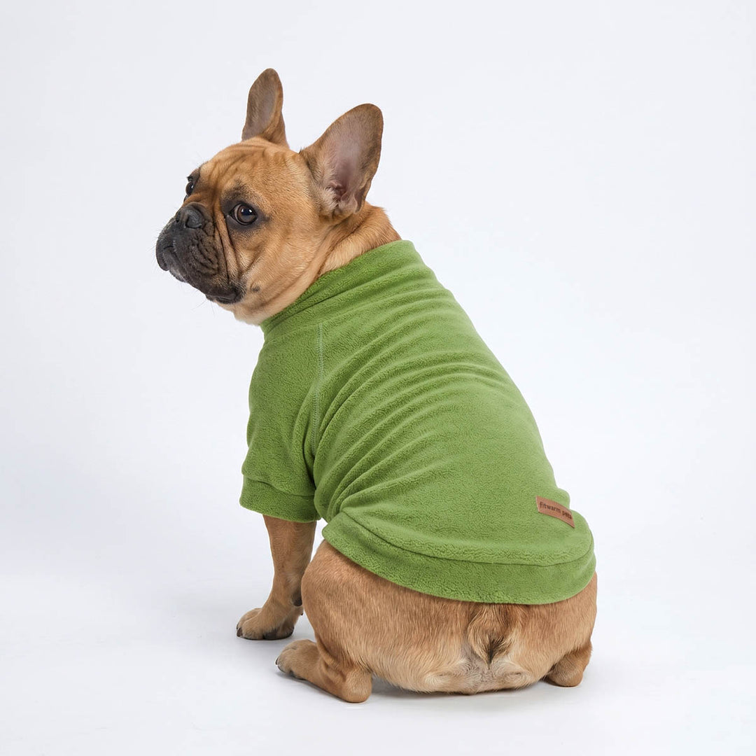 French Bulldog wearing a dog sweater, photographed from the side against a clean white studio background