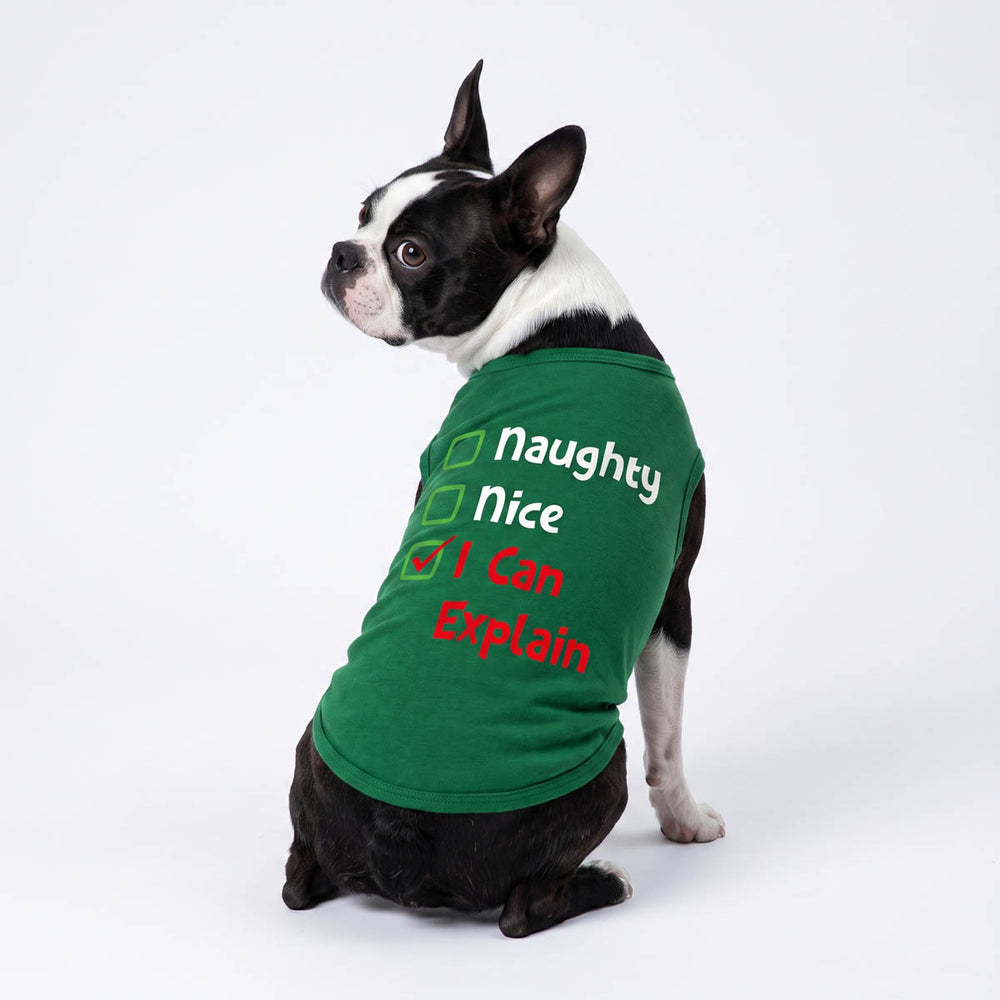 Boston terrier dog wearing a Christmas dog t-shirt with the text 'Naughty Nice I Can Explain' next to checkmarks, photographed against a plain white studio background