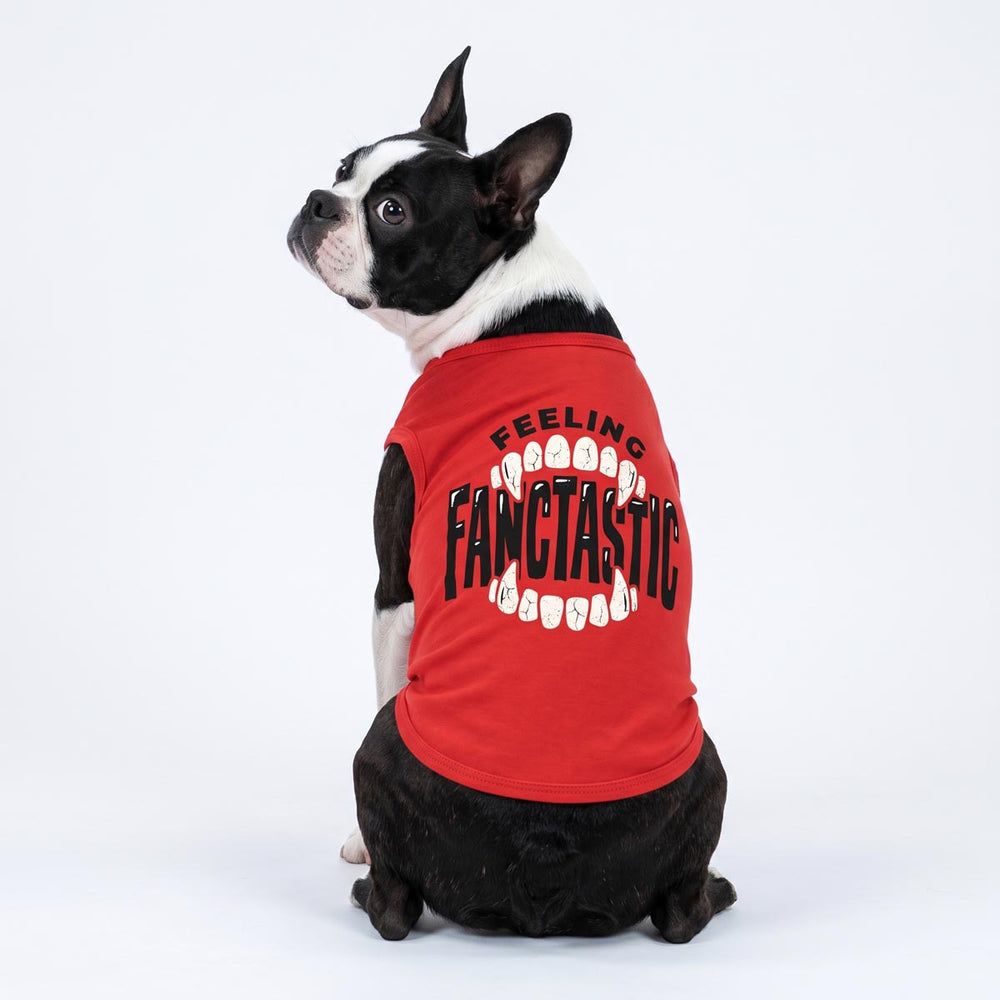Boston Terrier dog wearing a red sleeveless shirt for dogs with a graphic of large white teeth and the text 'FEELING FANCTASTIC' in black, photographed against a plain white studio background