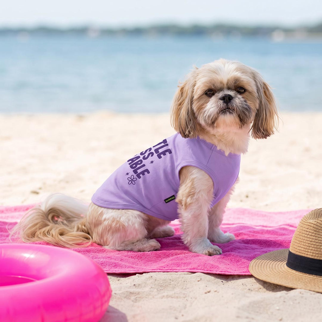 Small dog sitting on a blanket and wearing a lightweight dog shirt