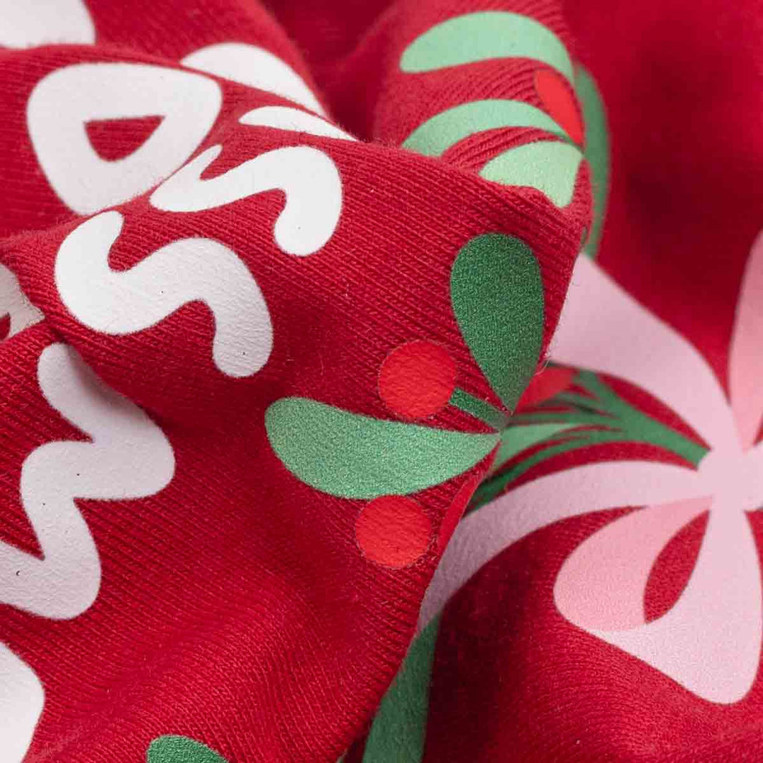 Kiss Me Under Mistletoe Dog Christmas Dress