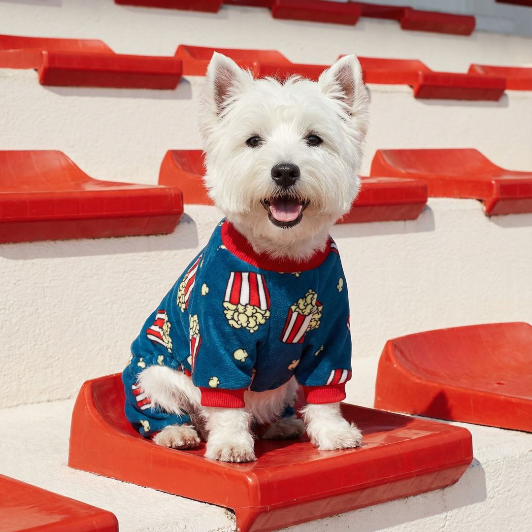 Westie wearing a blue dog pajamas with popcorn patterns on red seat.