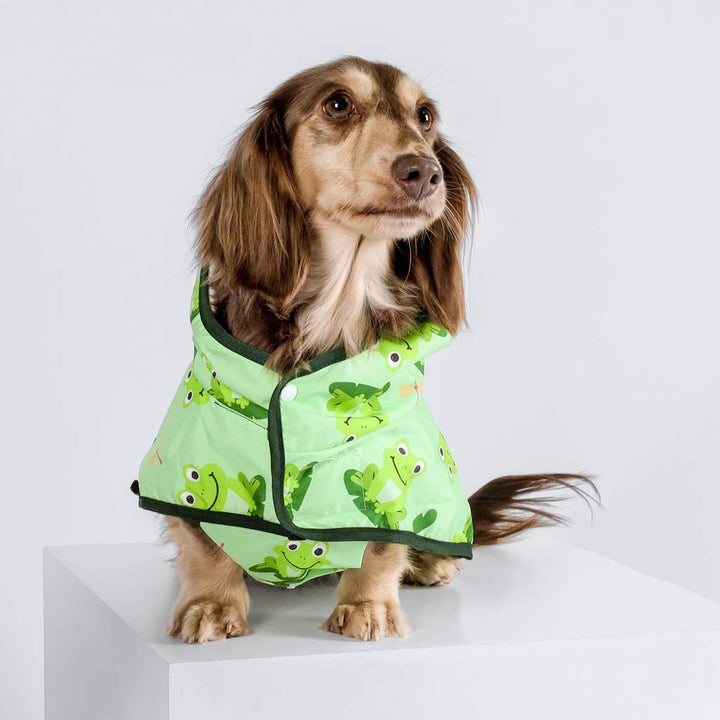 Dachshund in a Frog Themed Dog Raincoat - Fitwarm Dog Clothes