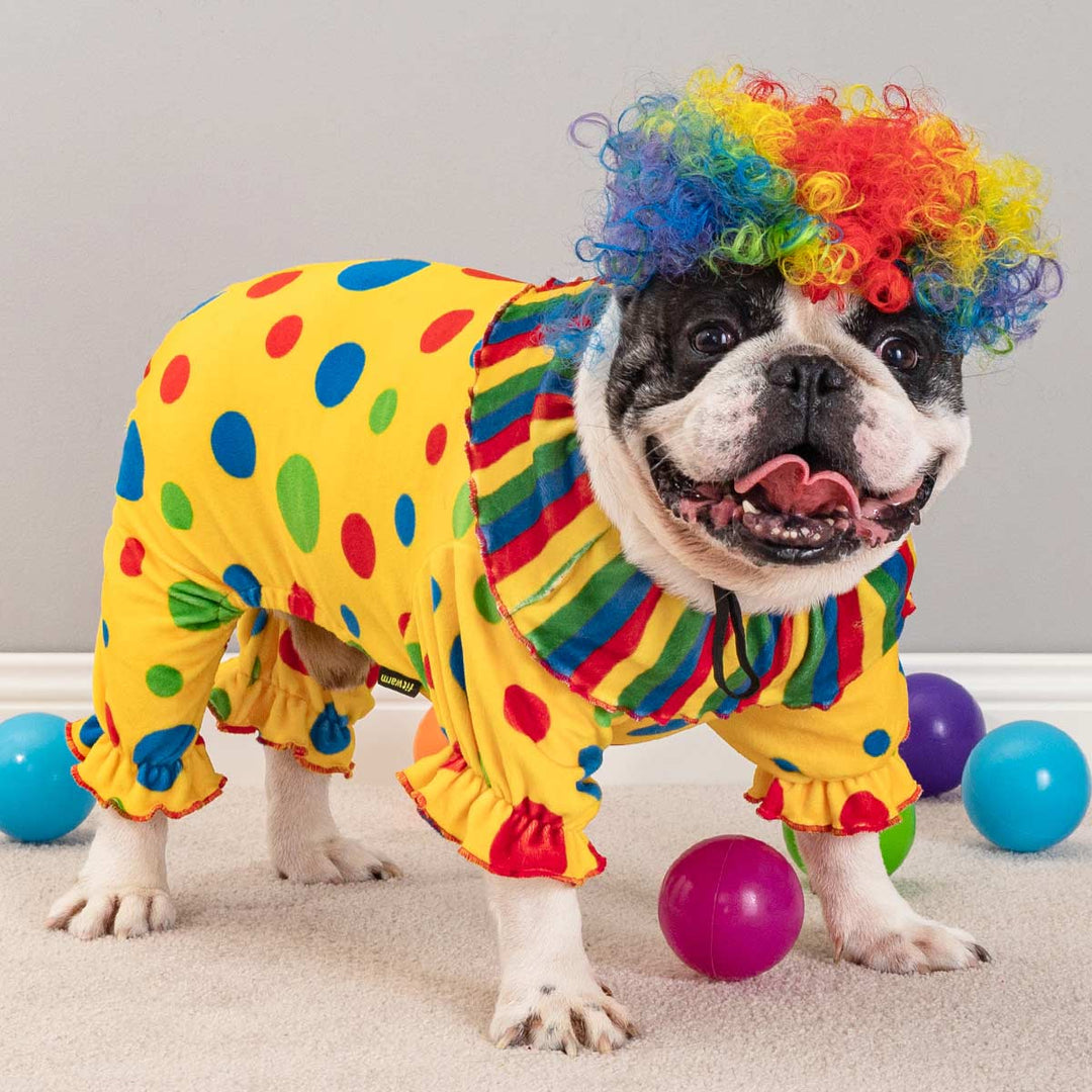 Colorful Dots Dog Clown Costume | Yellow Polka Dot Pup Fitwarm Colorful Dots Dog Clown Costume | Yellow Polka Dot Pup Fitwarm