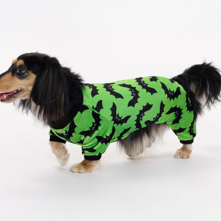Adorable dachshund modeling cozy dog jammies in green fabric featuring fun black bat prints