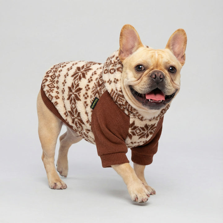 French bulldog wearing a brown and beige dog hoodie with a snowflake prints