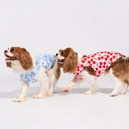 Hawaiian Dog's Shirts | Pineapple & Floral on Cream