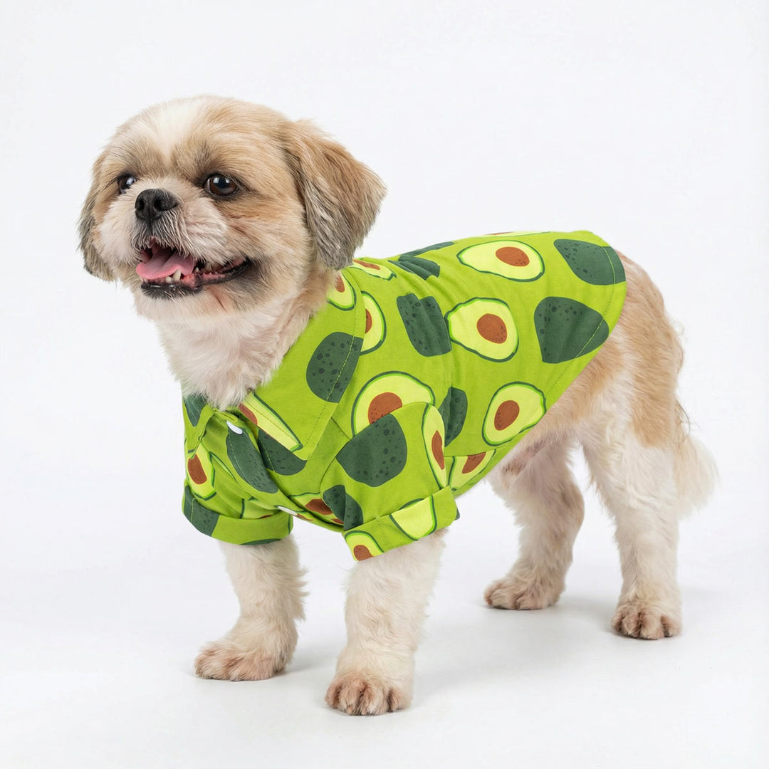 Small dog wearing a bright green avocado print dog t shirt, standing against a clean white background