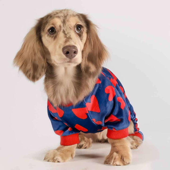 Dachshund in Dog Pajamas with Bold Heart Prints - Fitwarm Dog Clothes