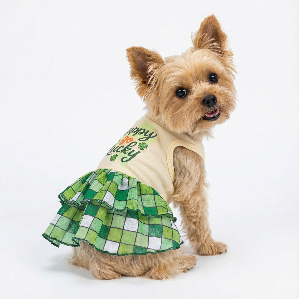 Yorkie wearing a St. Patrick's Day Dog Dress