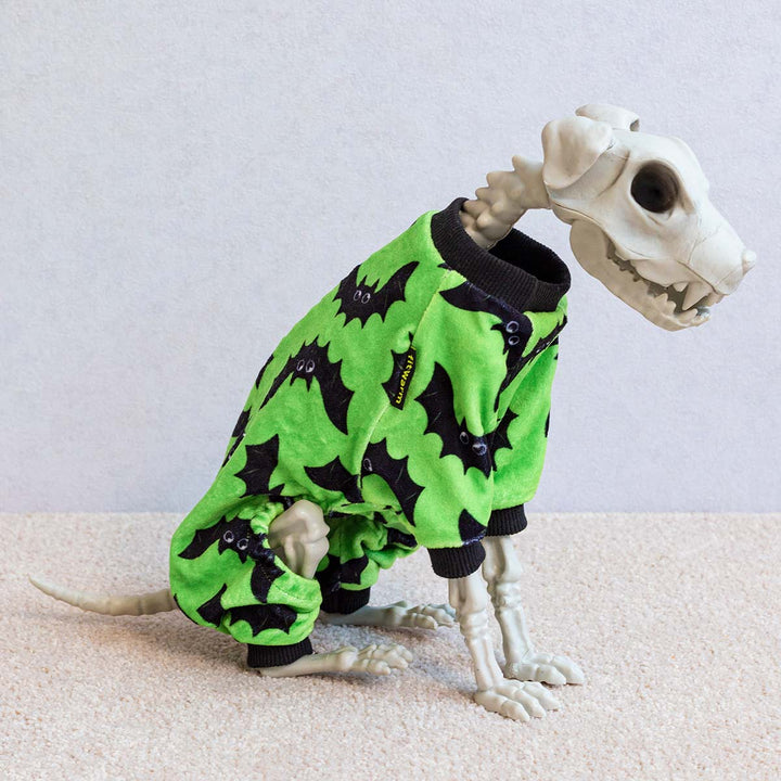 Dog skeleton model dressed in bright green dog pajamas with playful black bat prints for Halloween style