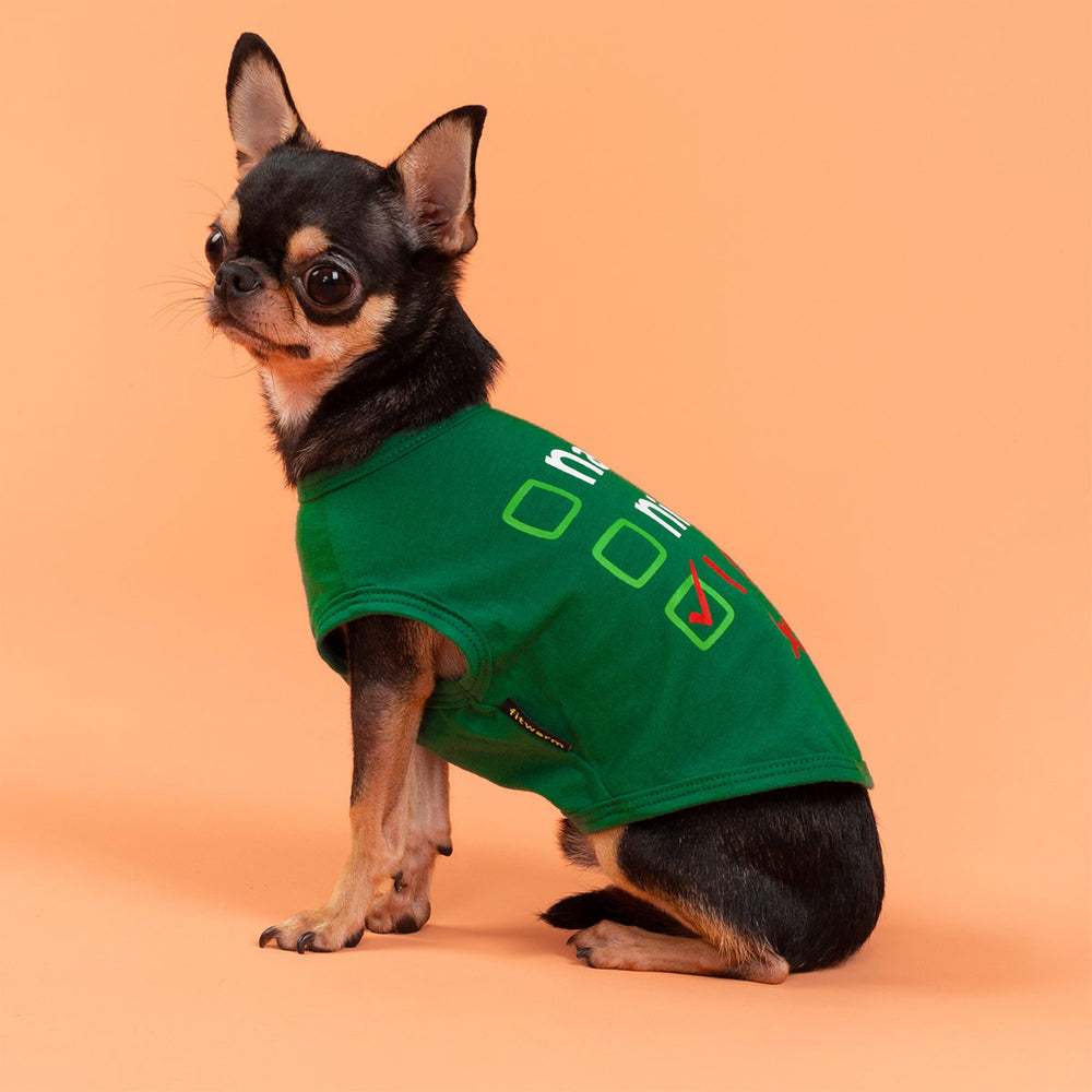 Small Chihuahua wearing a green Christmas dog shirt with festive printed checklist design