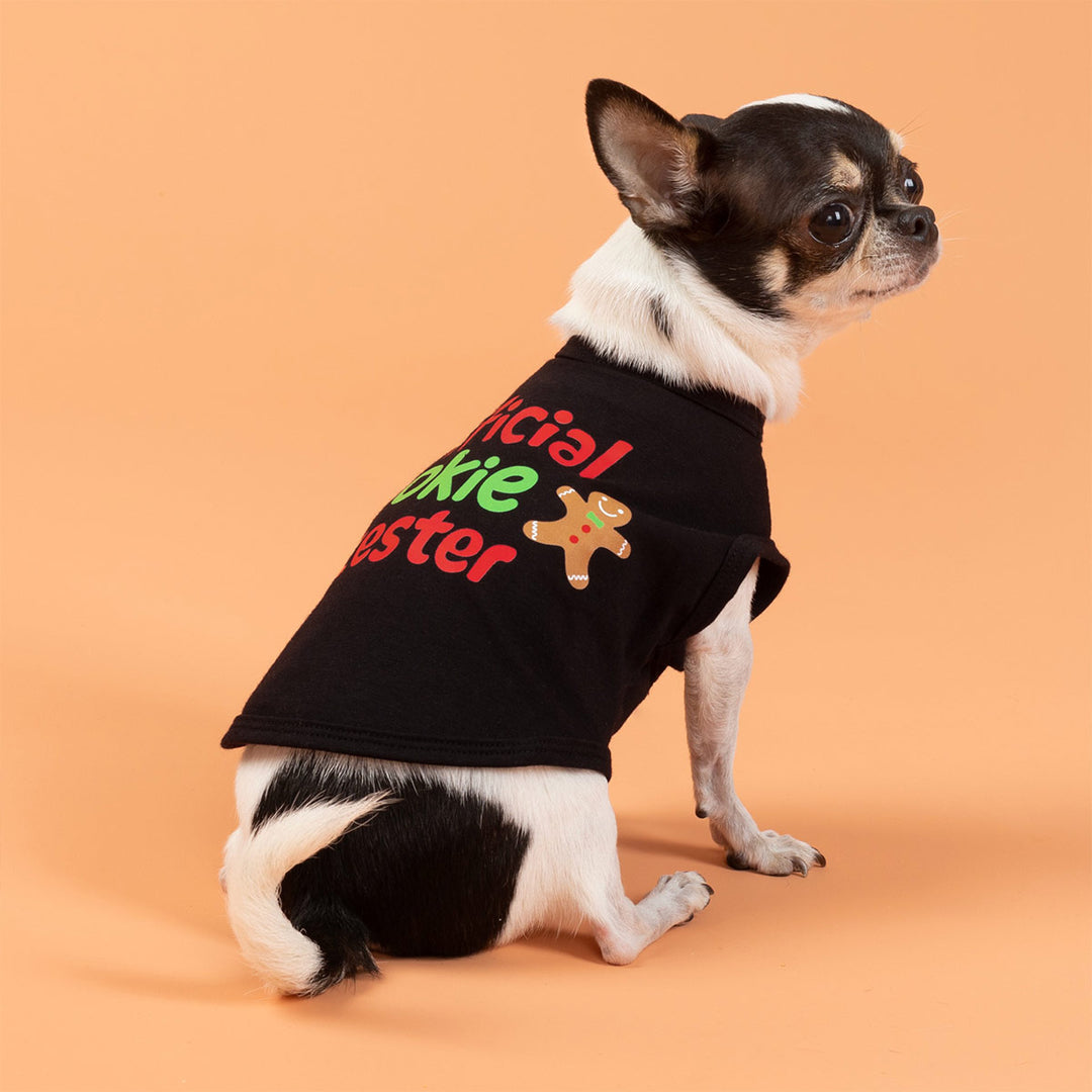 Small Chihuahua wearing a black Christmas dog shirt with colorful lettering and gingerbread design