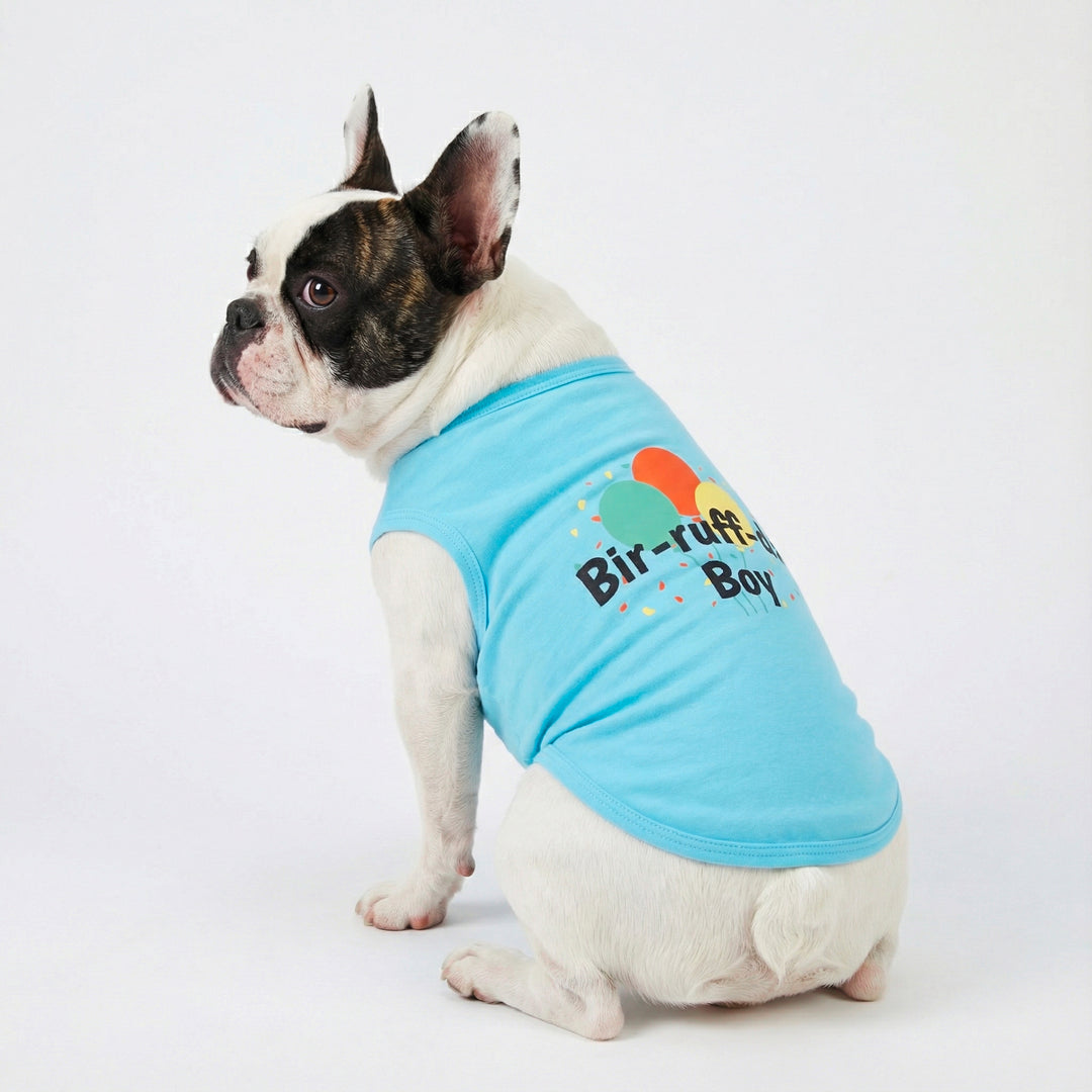 Boston terrier wearing a birthday dog tank top