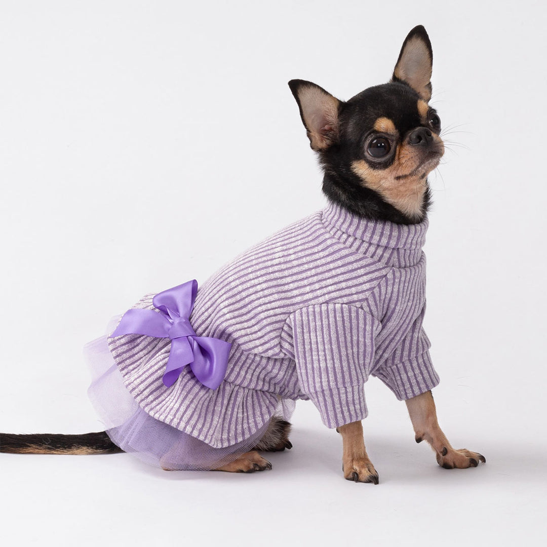 Small dog posing in a lavender knitted dog dress with a ruffled skirt