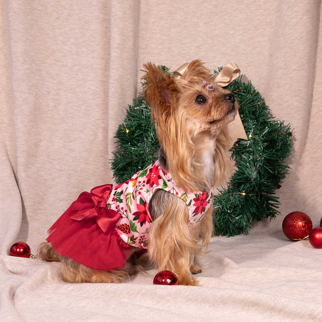 Dog in a festive Christmas dress for dogs featuring red florals and a tulle skirt