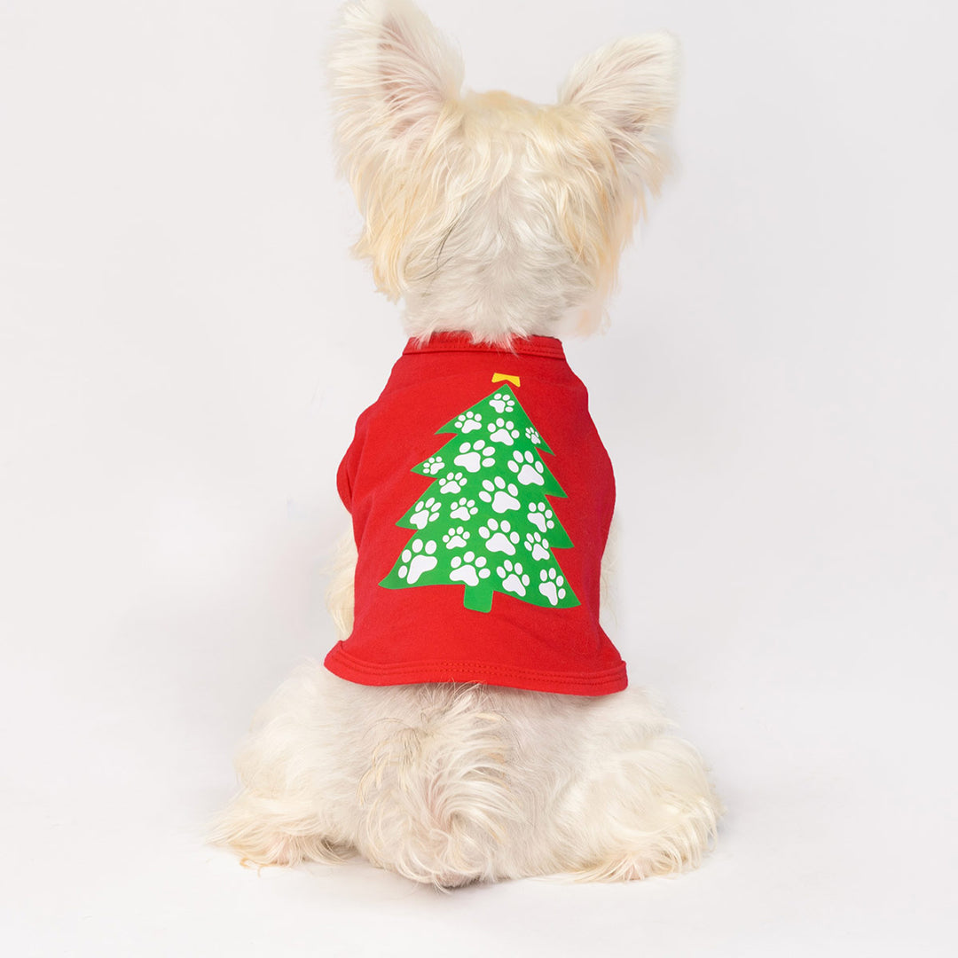 Small white dog wearing a red Christmas dog shirt with green paw print tree design