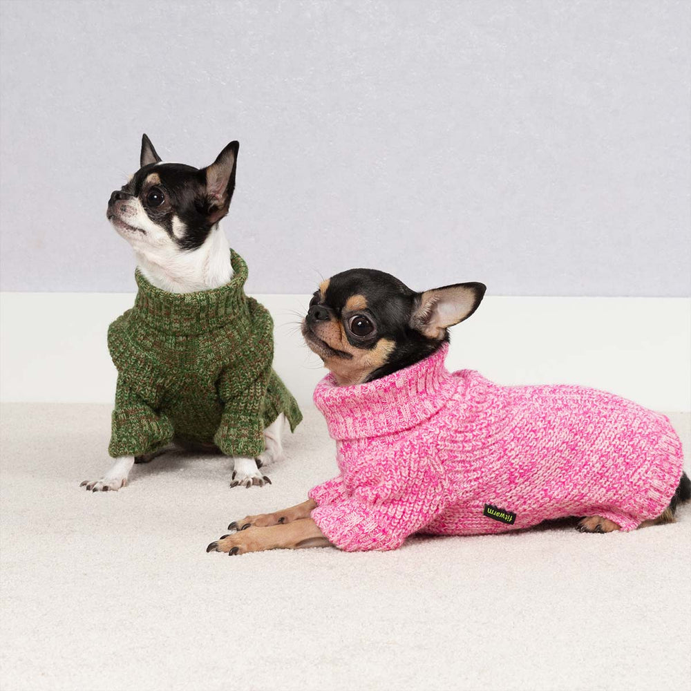 Two small dogs wearing cozy heather dog sweaters, one in pink and one in green