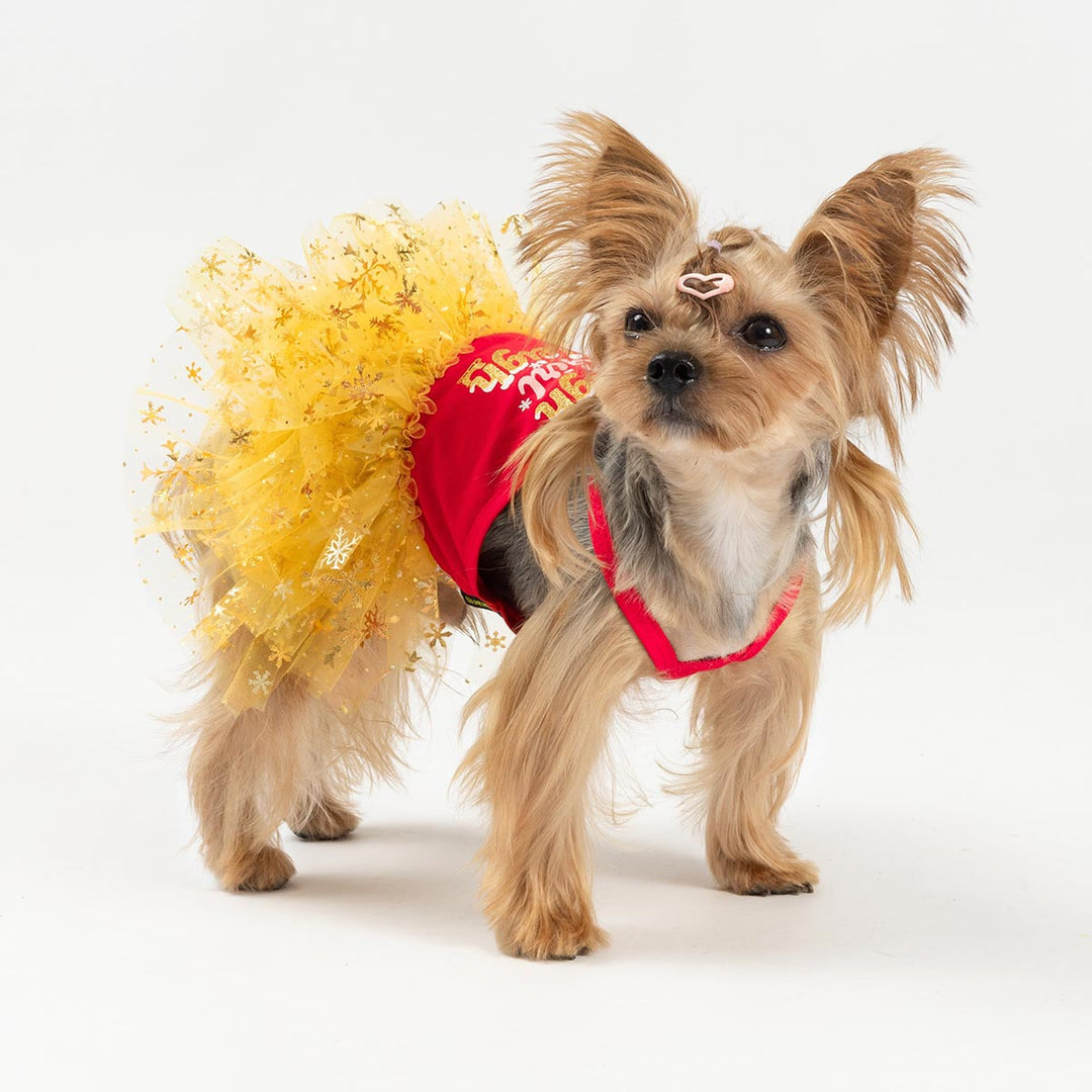 Dog wearing a festive Christmas dog dress with a bright yellow tulle skirt and red top