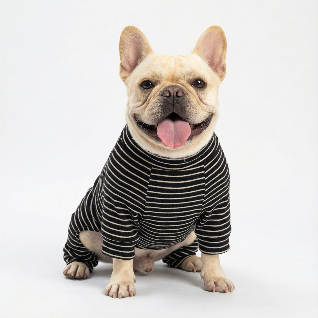 French bulldog wearing a dog pjs with classic striped patterns