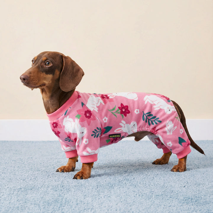 Easter floral bunny dog pjs on a dachshund