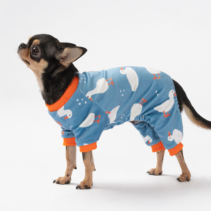 Small dog walking in soft duck-print dog onesie with orange trim