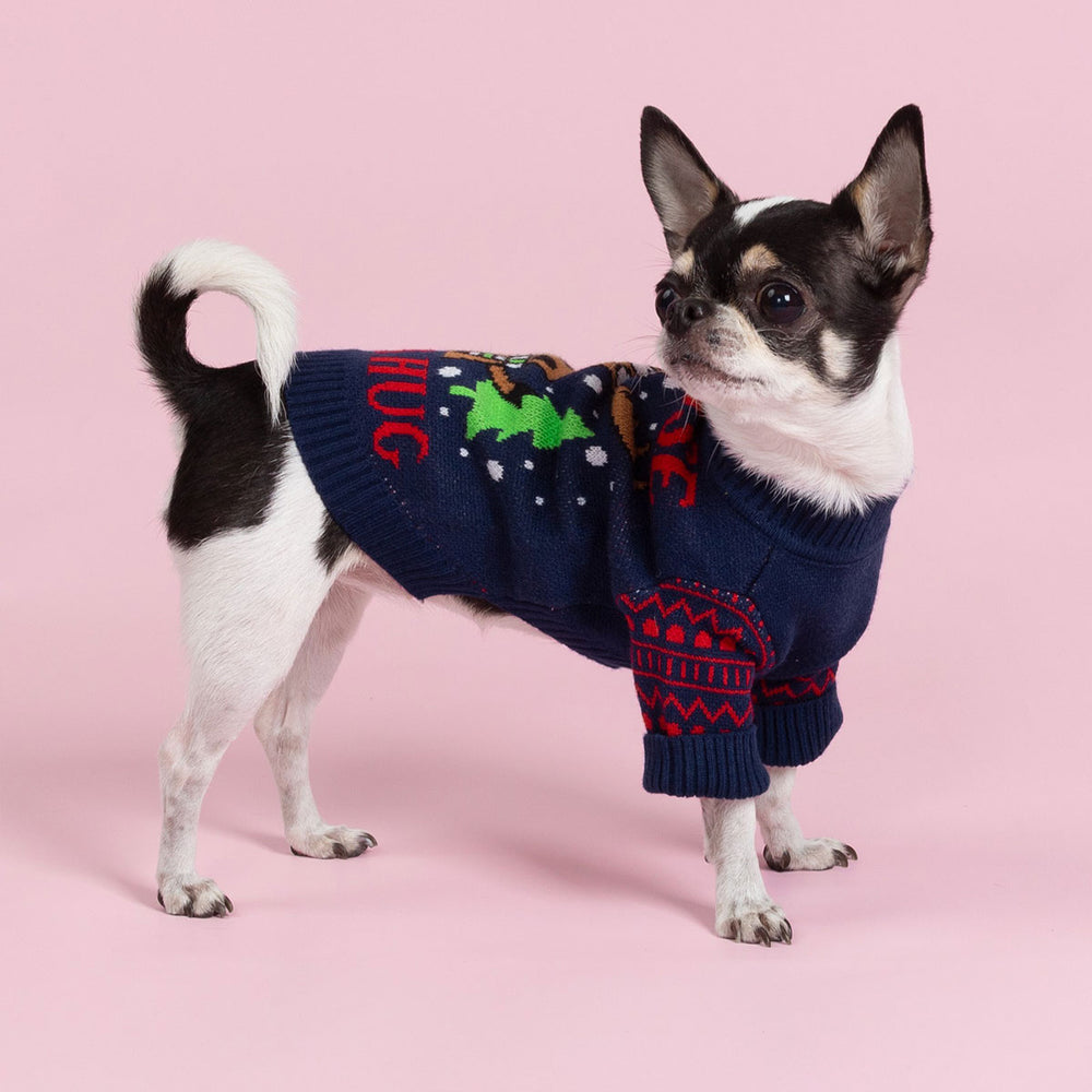 Small dog wearing a navy blue Christmas dog sweater with red lettering and a moose prints