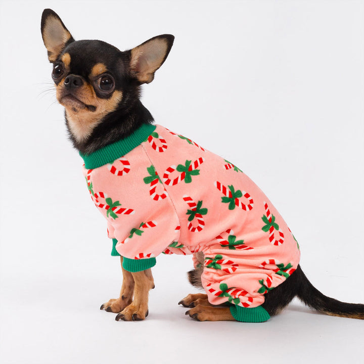 Adorable Chihuahua dressed in cozy Christmas dog pajamas featuring red and white candy canes