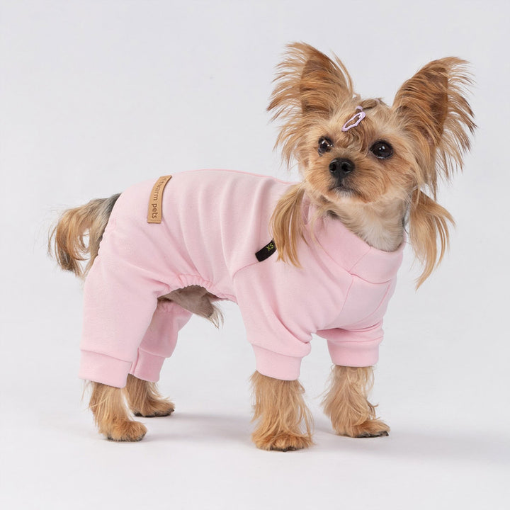 Small dog wearing soft pink dog pajamas on a light background