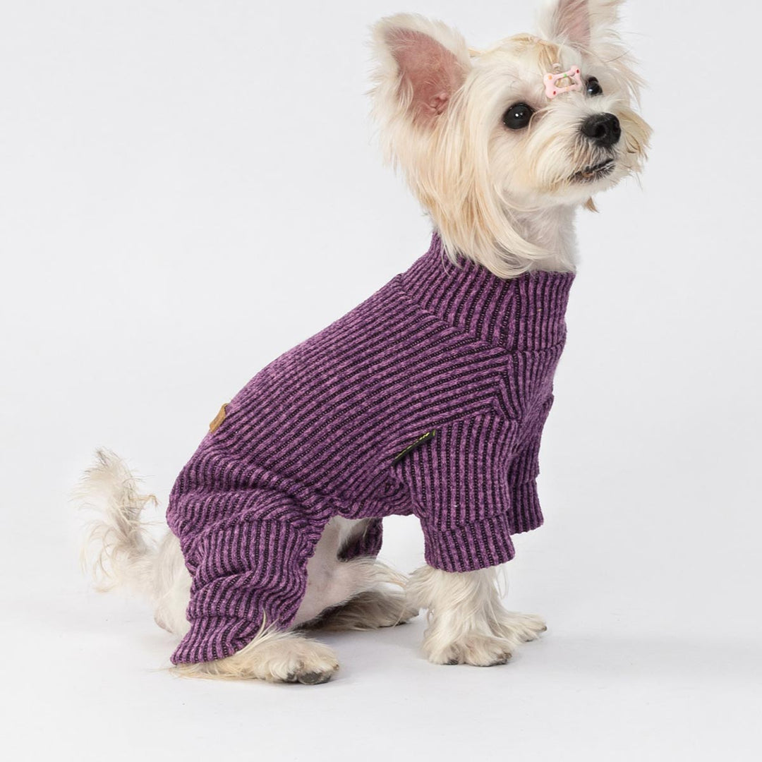 Small dog wearing purple ribbed knitted dog pajamas with a cozy turtleneck design