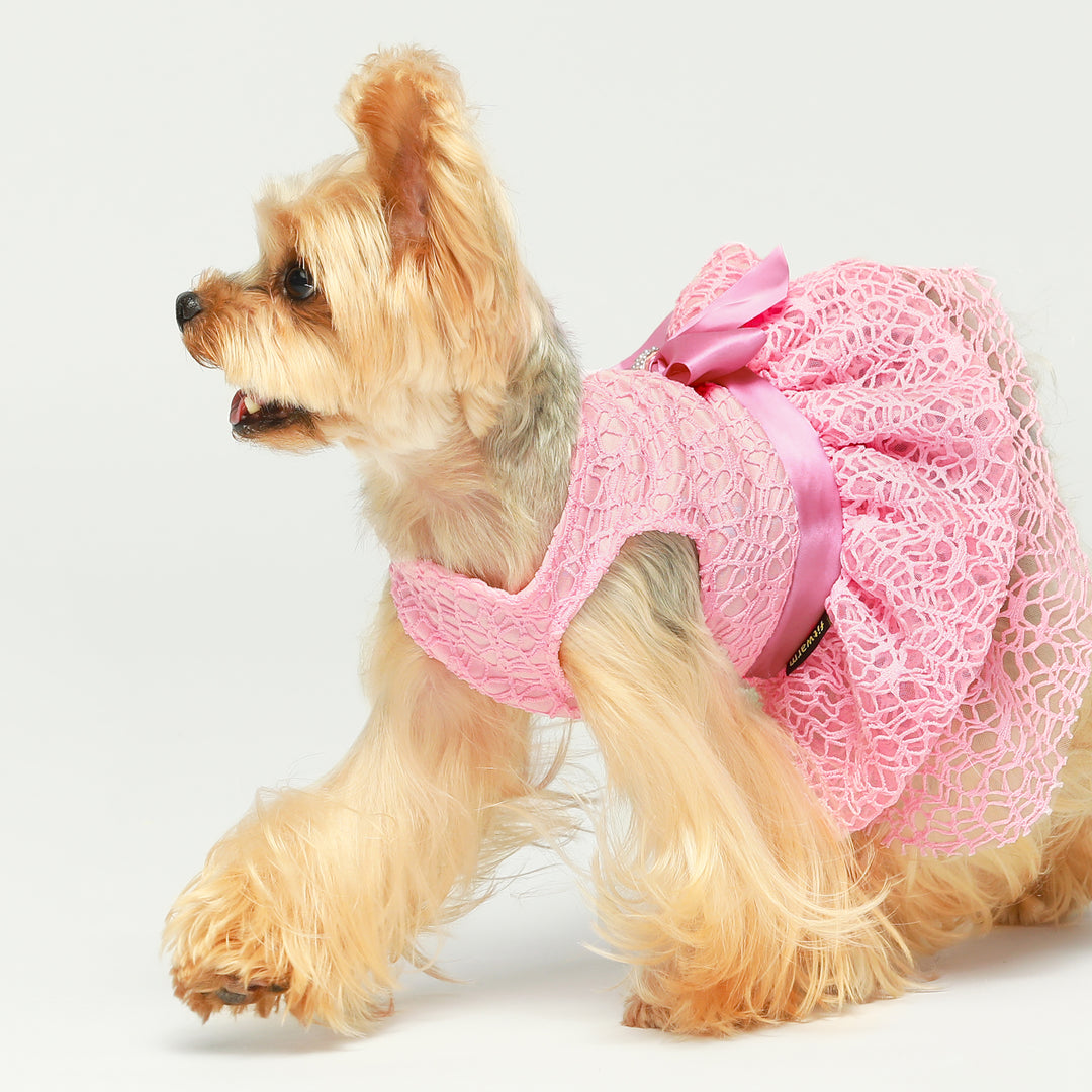 Pink Tulle Dress for Dogs | Elegant Princess Style - Fitwarm Pink Tulle Dress for Dogs | Elegant Princess Style - Fitwarm