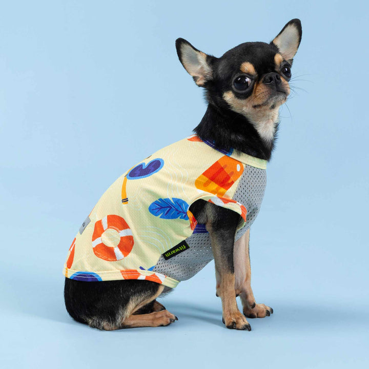 Chihuahua wearing a colorful dog uv shirt with summer pool-themed prints sitting against a light blue background