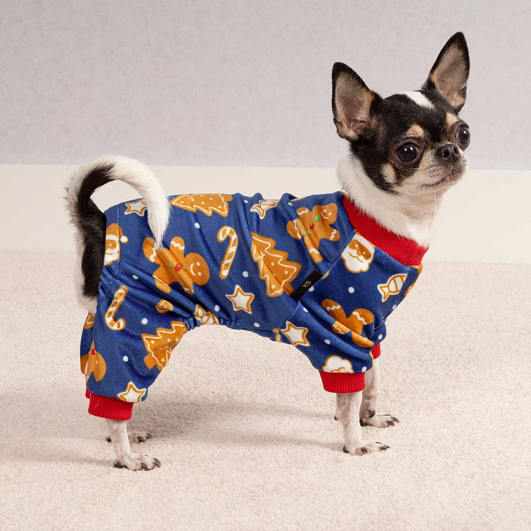 Adorable Chihuahua dressed in festive Christmas dog pajamas featuring gingerbread and candy patterns