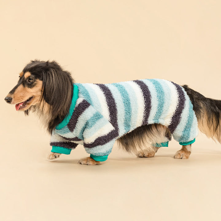 Cute dachshund dressed in warm striped dog jammies while resting on an orange cushion