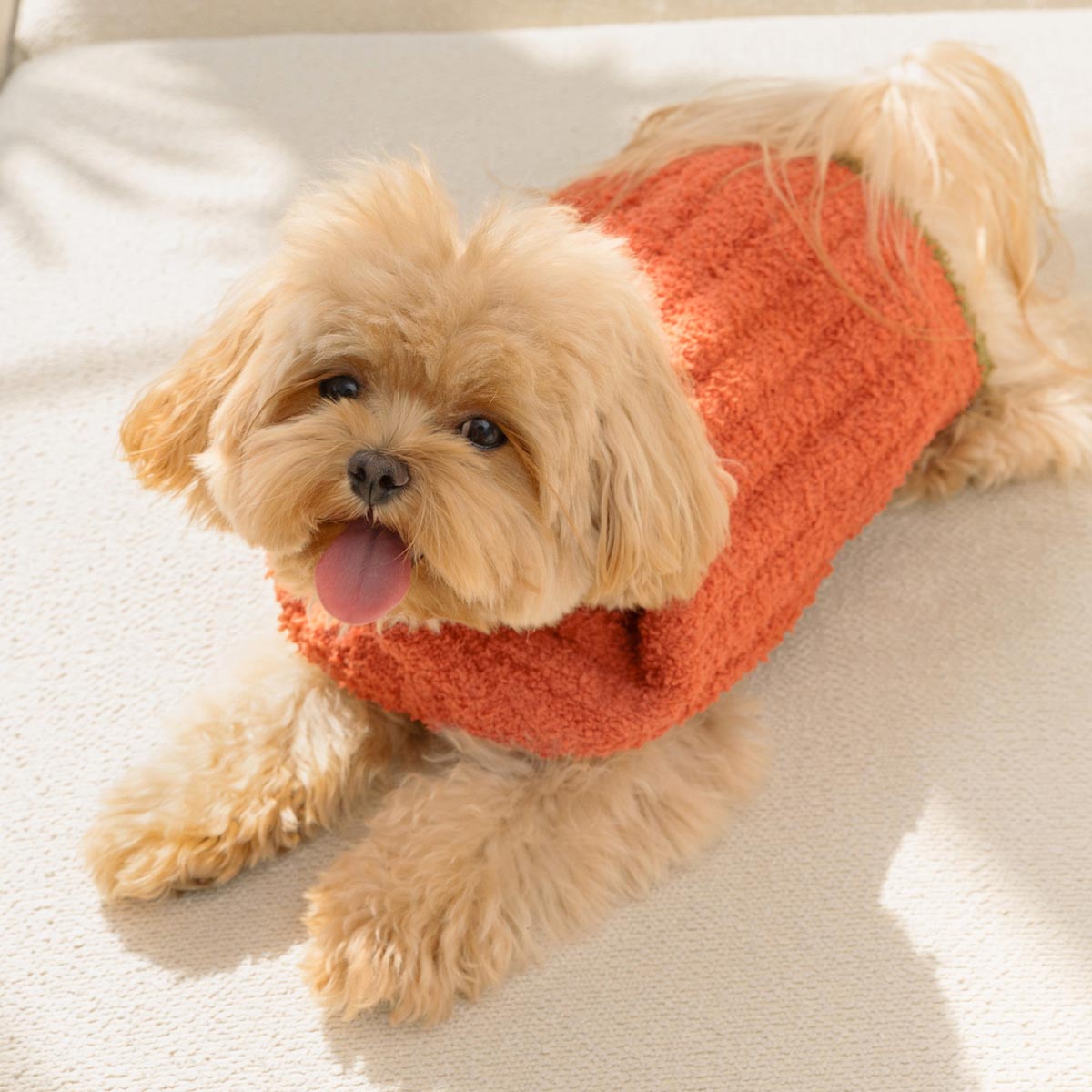 Cozy Knit Dog Sweater | Royal Blue, Periwinkle, Chocolate – Fitwarm