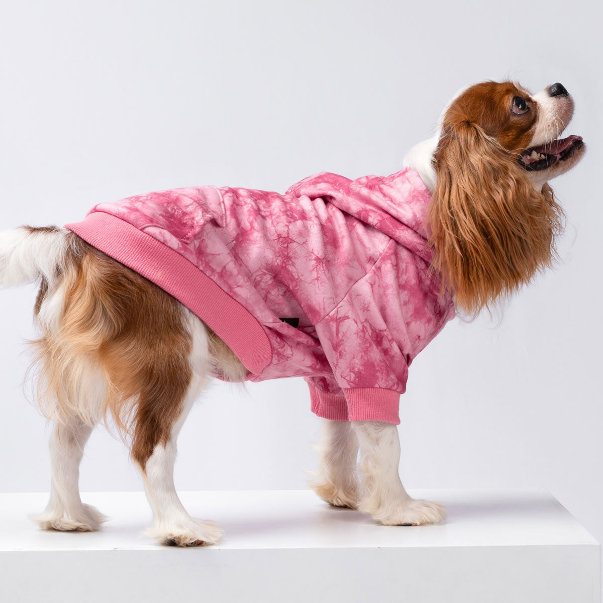 Small Dog Tie Dye Hoodie | Pink Gray Turquoise Fleece – Fitwarm