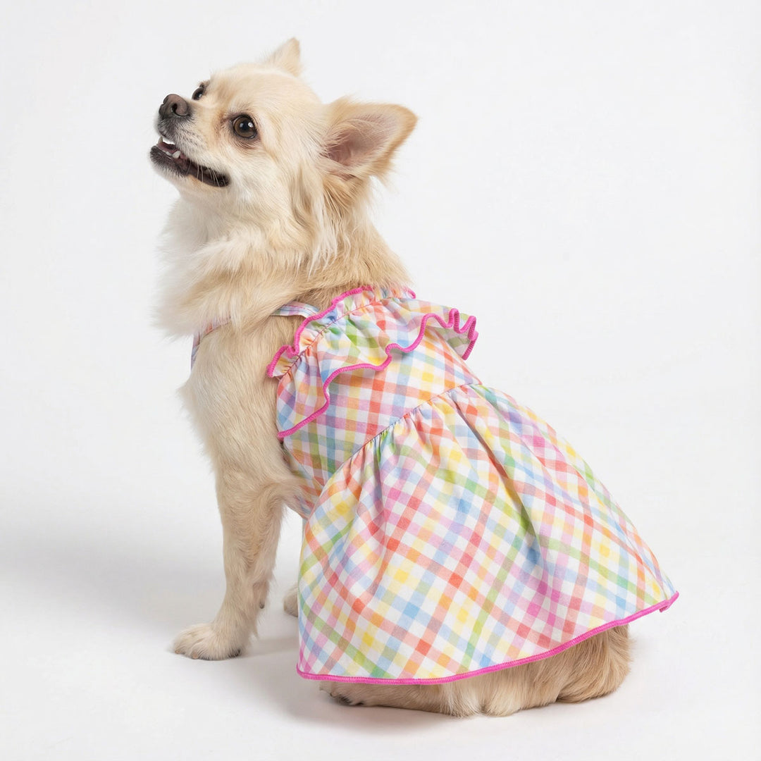 Plaid dog dress with ruffle trim worn by small dog, colorful check pattern on white background
