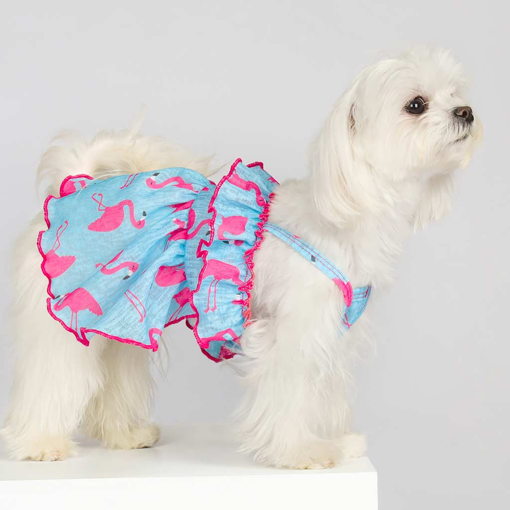 Maltese in a Pink Ruffle Dog Dress with Flamingo Prints - Fitwarm Dog Clothes