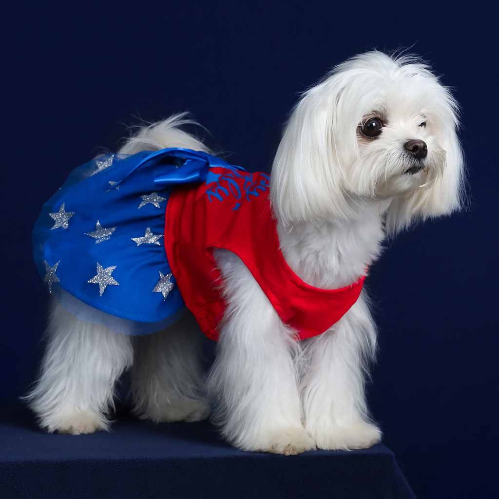  Maltese in a Patriotic 4th of July Stars and Stripes Dog Dress - Fitwarm Dog Clothes