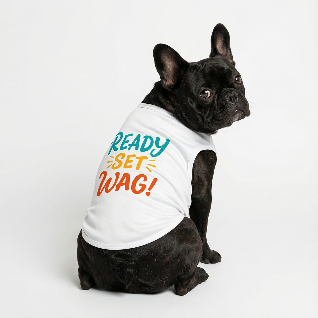 French bulldog sitting in white dog shirt with colorful "Ready Set Wag!' lettering