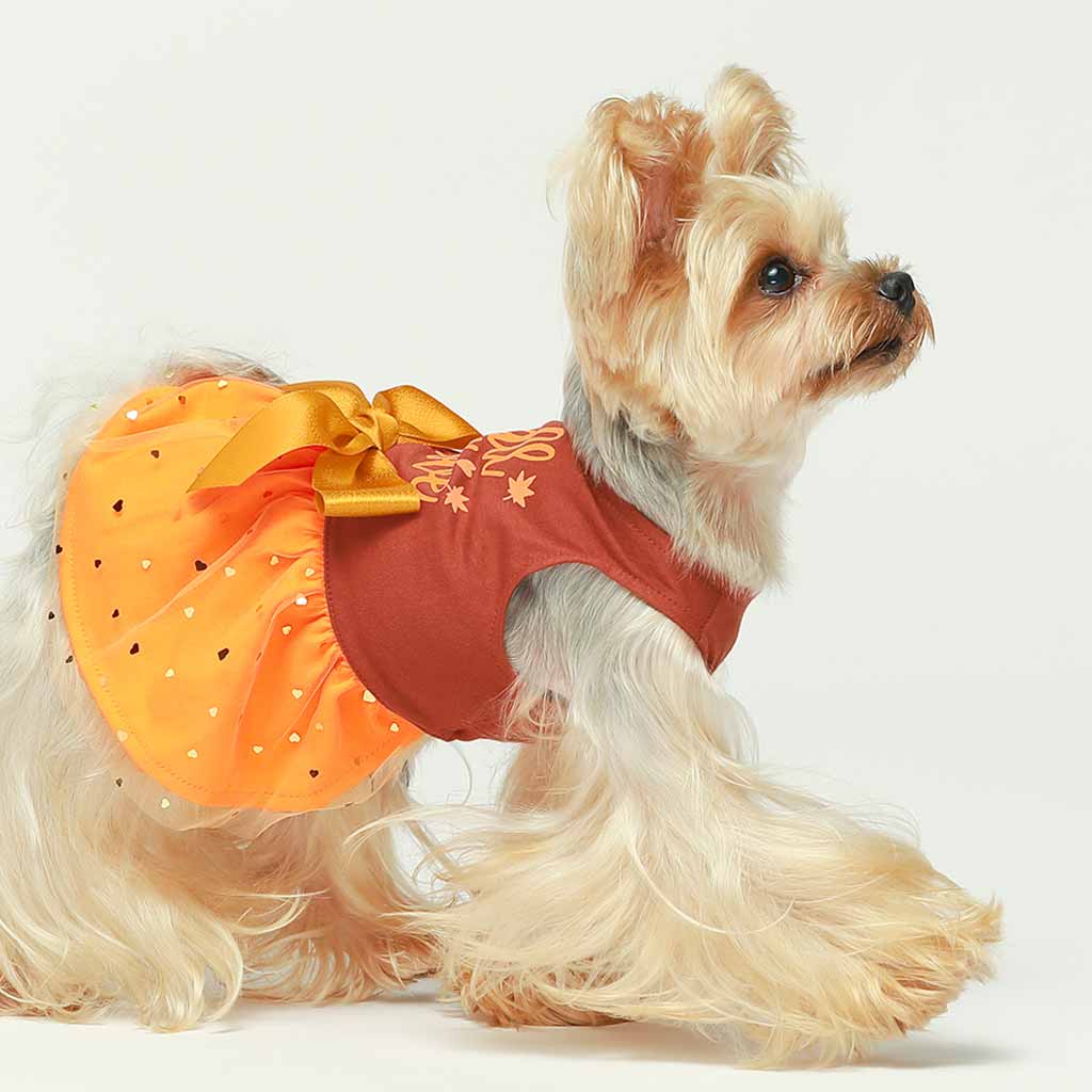 Dog Thanksgiving Outfit - Fall in Love Dog Dress - Fitwarm